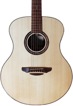 guitar shop acoustic.png